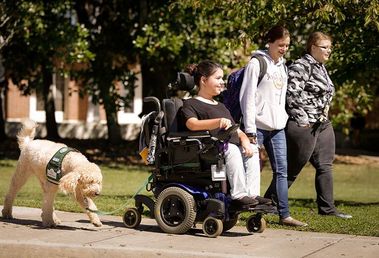 在一个阳光明媚的日子里，一名坐着电子轮椅的学生和她的两个同学以及她的服务犬一起去上课.